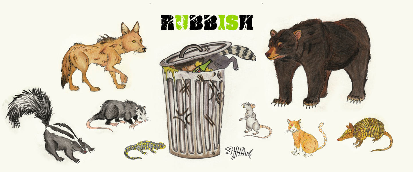 How to play The Rubbish Game